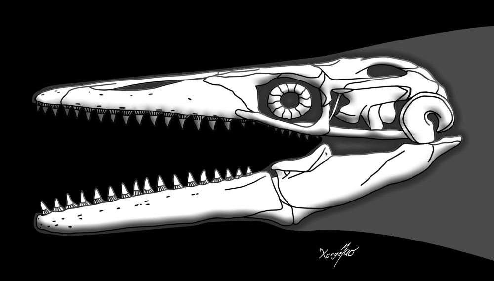 Yaguarasaurus regiomontanus skull reconstruction